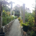 2011-09-14-08-22-13