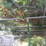 2011-09-14-08-36-17